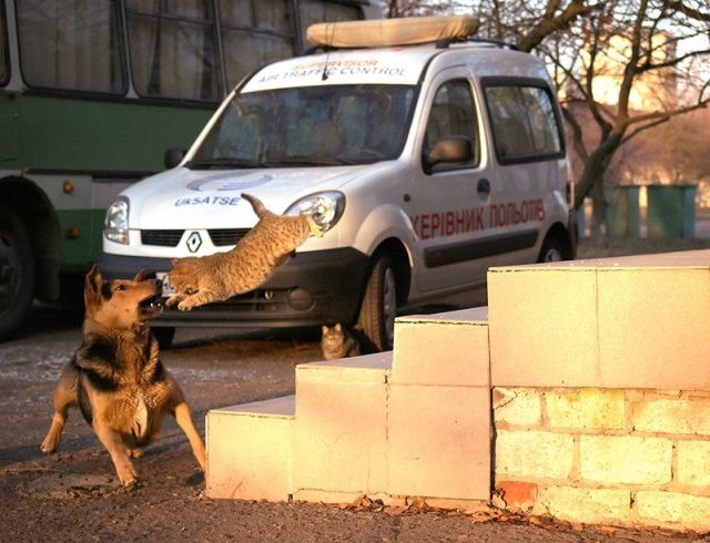 2011/03/bildschirmarbeiter-picdump-11-01-07-061