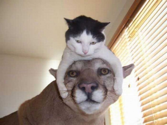 2011/03/emok-thumbs-emok-20picdump-20170-115