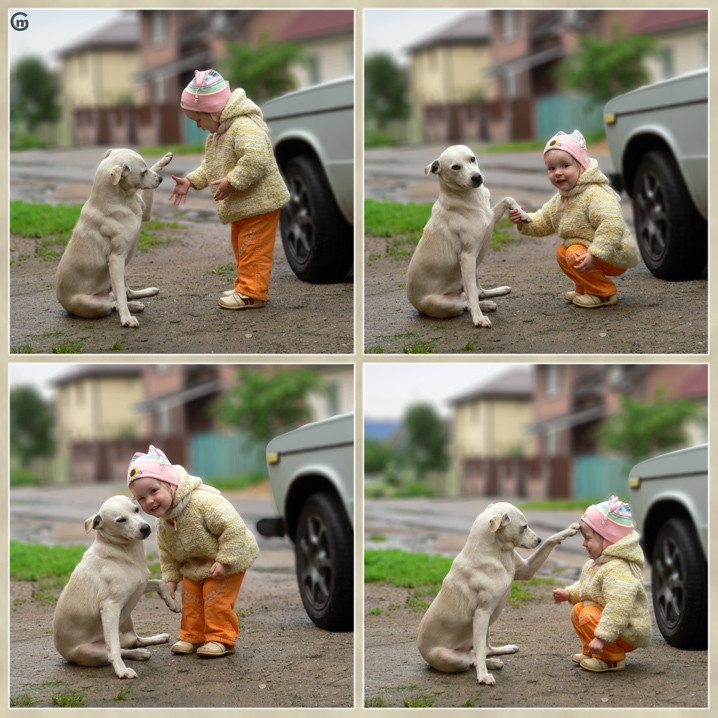 2011/03/pso1d