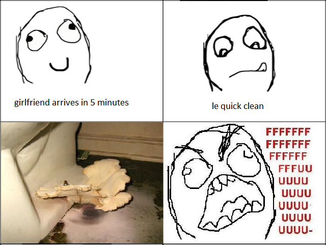 2011/04/1stselfmeme