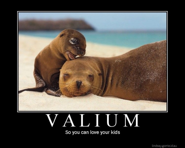 2011/04/imageshack-valium2