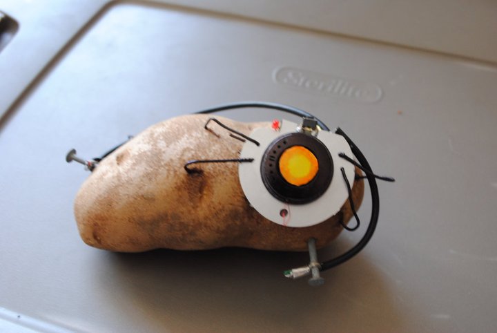 2011/05/blogspot-spuddy-buddy-by-hennavonbrennenburg-d3empsd