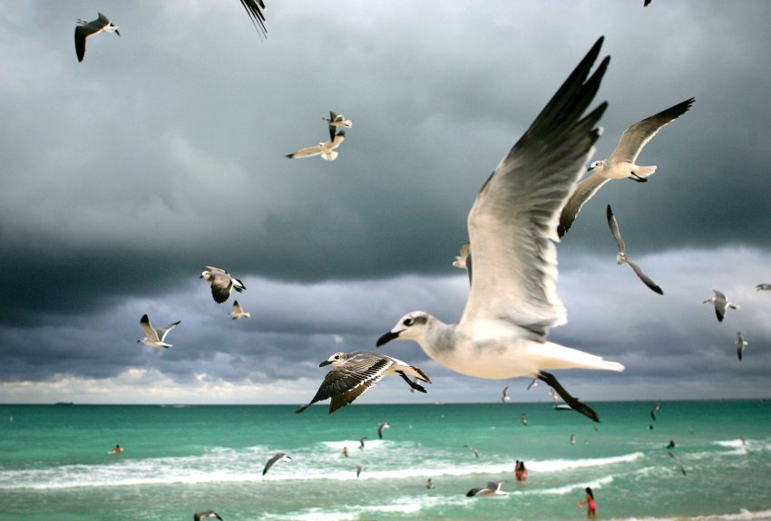 2011/05/image-205596-galleryv9-hrph