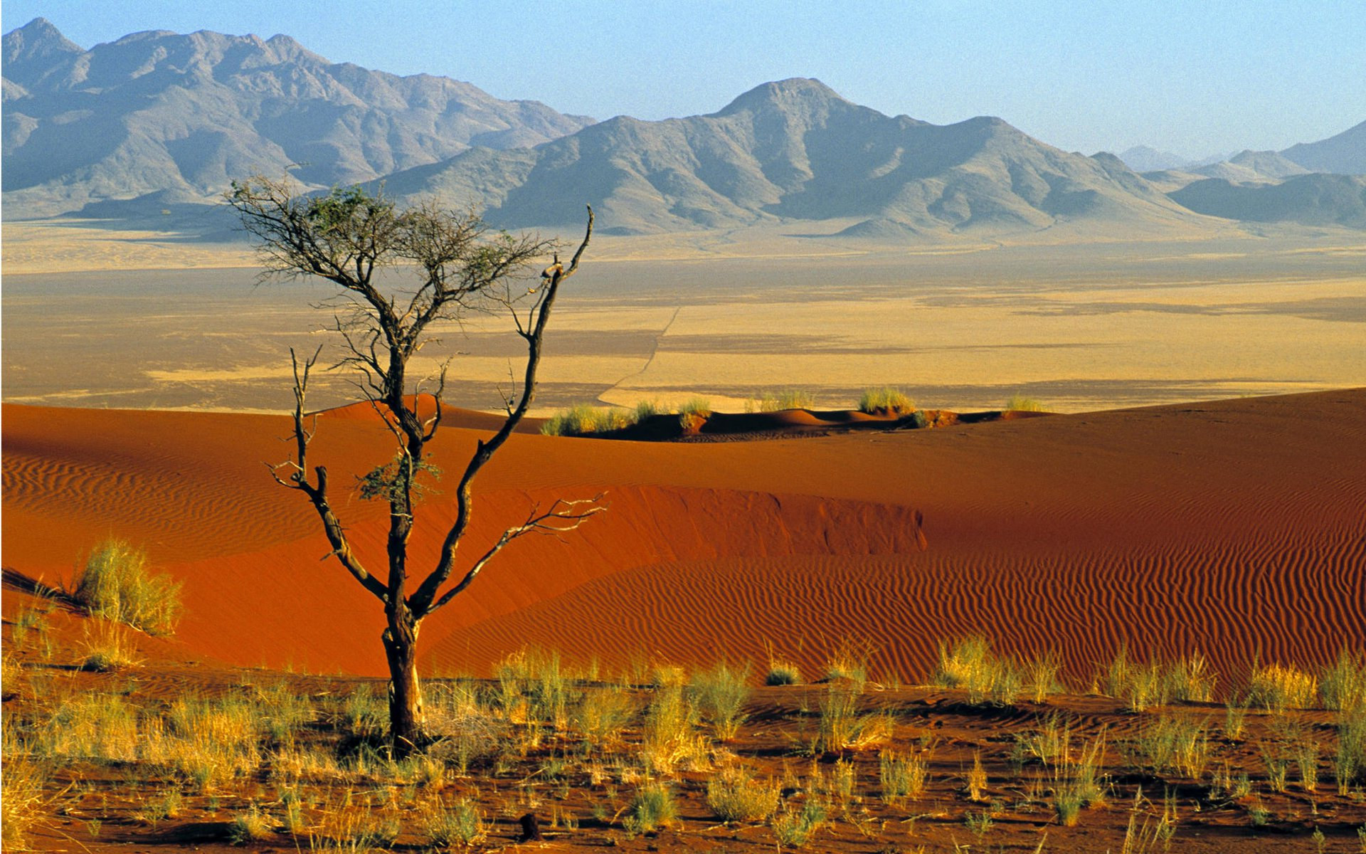2022/01/namibrand-nature-reserve-namibia-africa-596398501