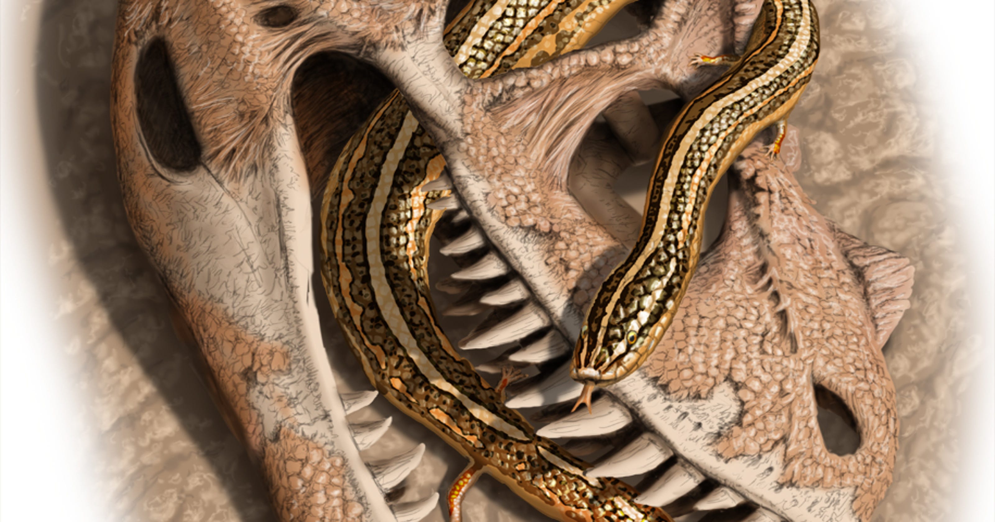 2022/05/635582522149807672-1-snake-colorado