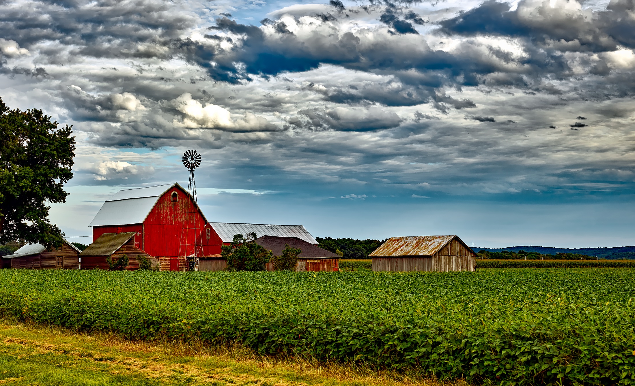 2022/05/farm