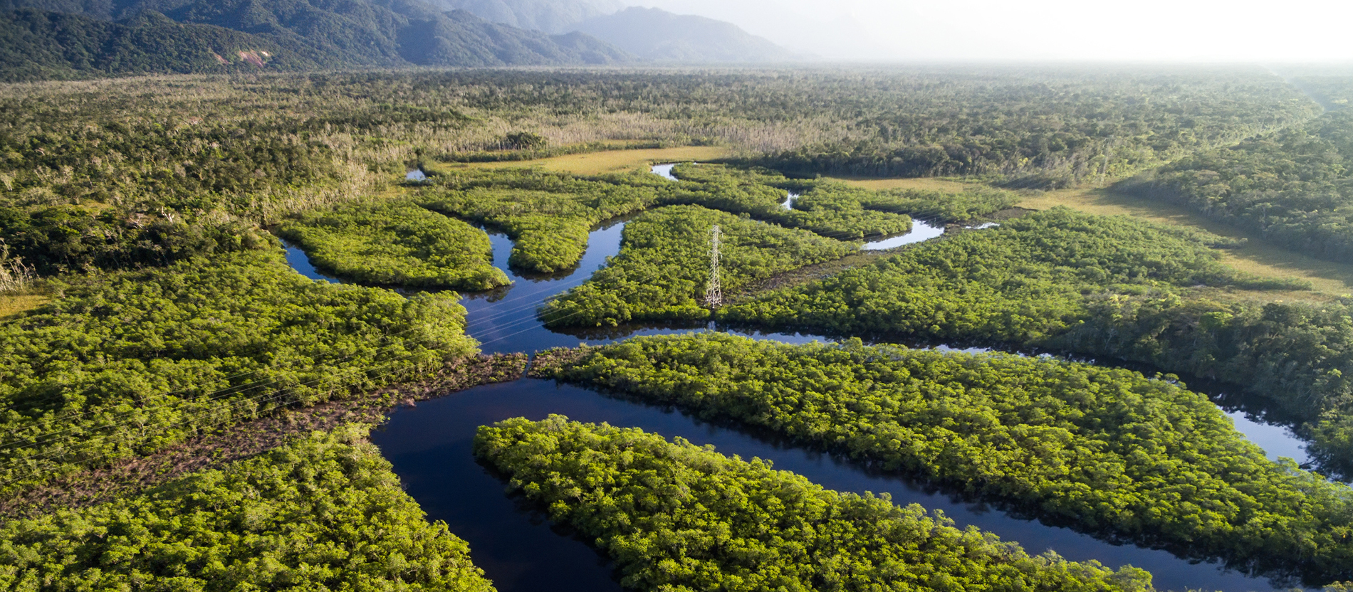 2022/09/adobestock-133661904-amazonas