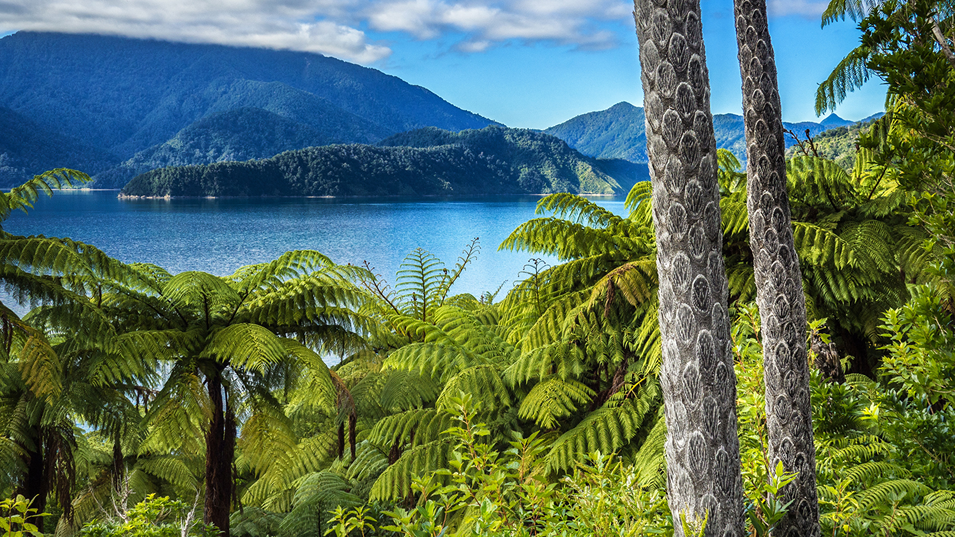 2023/01/new-zealand-mountains-lake-elaine-bay-marlborough-519543-1920x1080