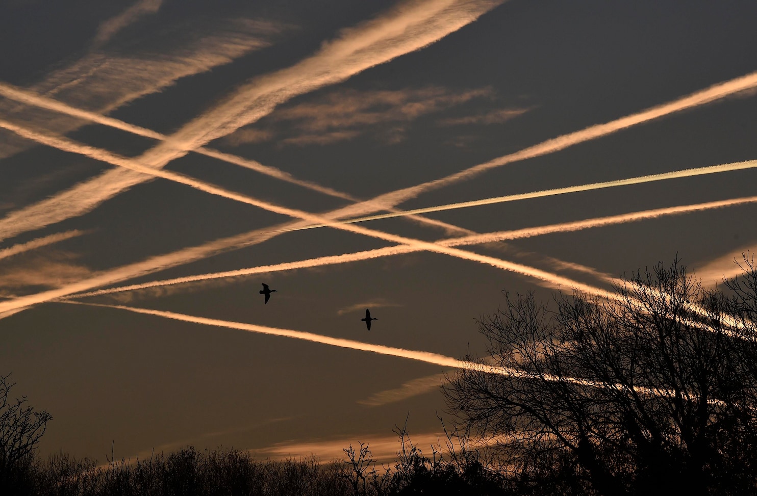 2024/02/2014-11-24t100632z-01-tob508-rtridsp-3-britain-weather-12869