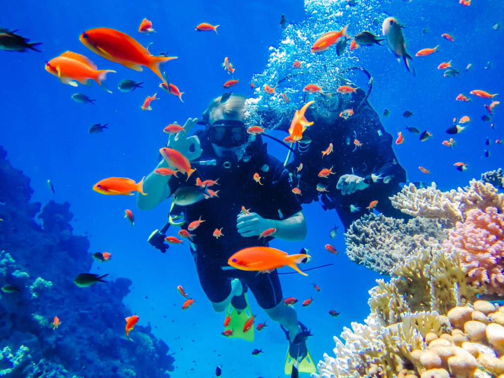 2024/03/diving-at-the-coral-reefs-in-the-red-sea-1024x768