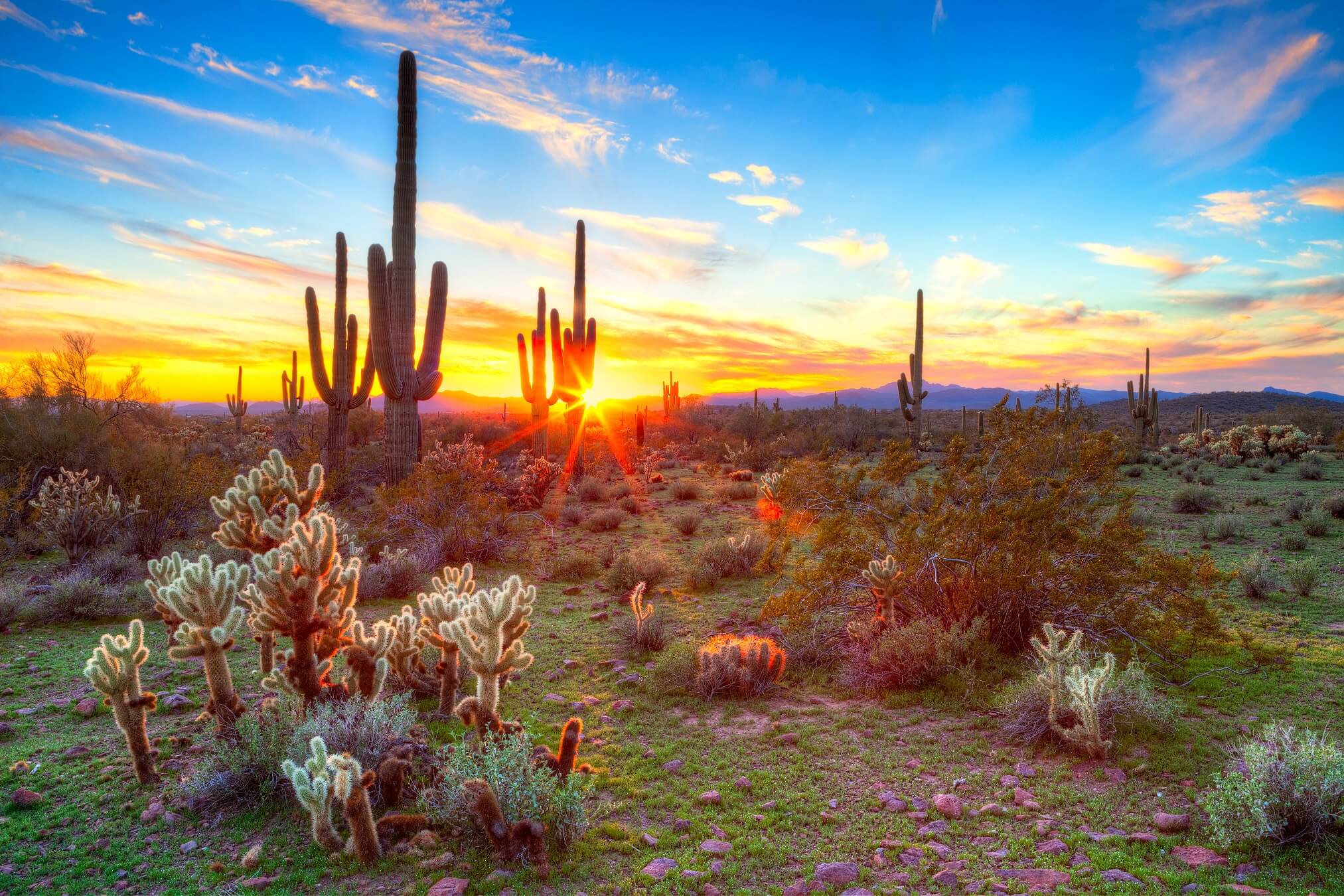 2024/04/1-canyontrailsfamilydental-com-az-sunset