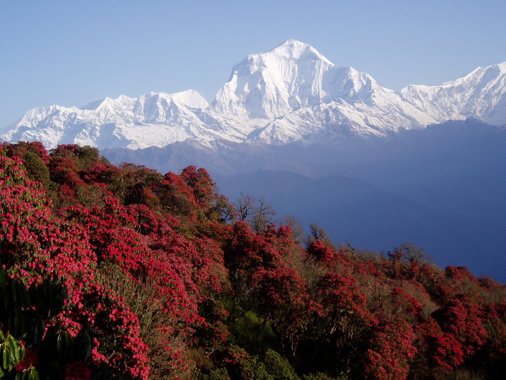 2024/04/106956-nepal-himalayas-mountains