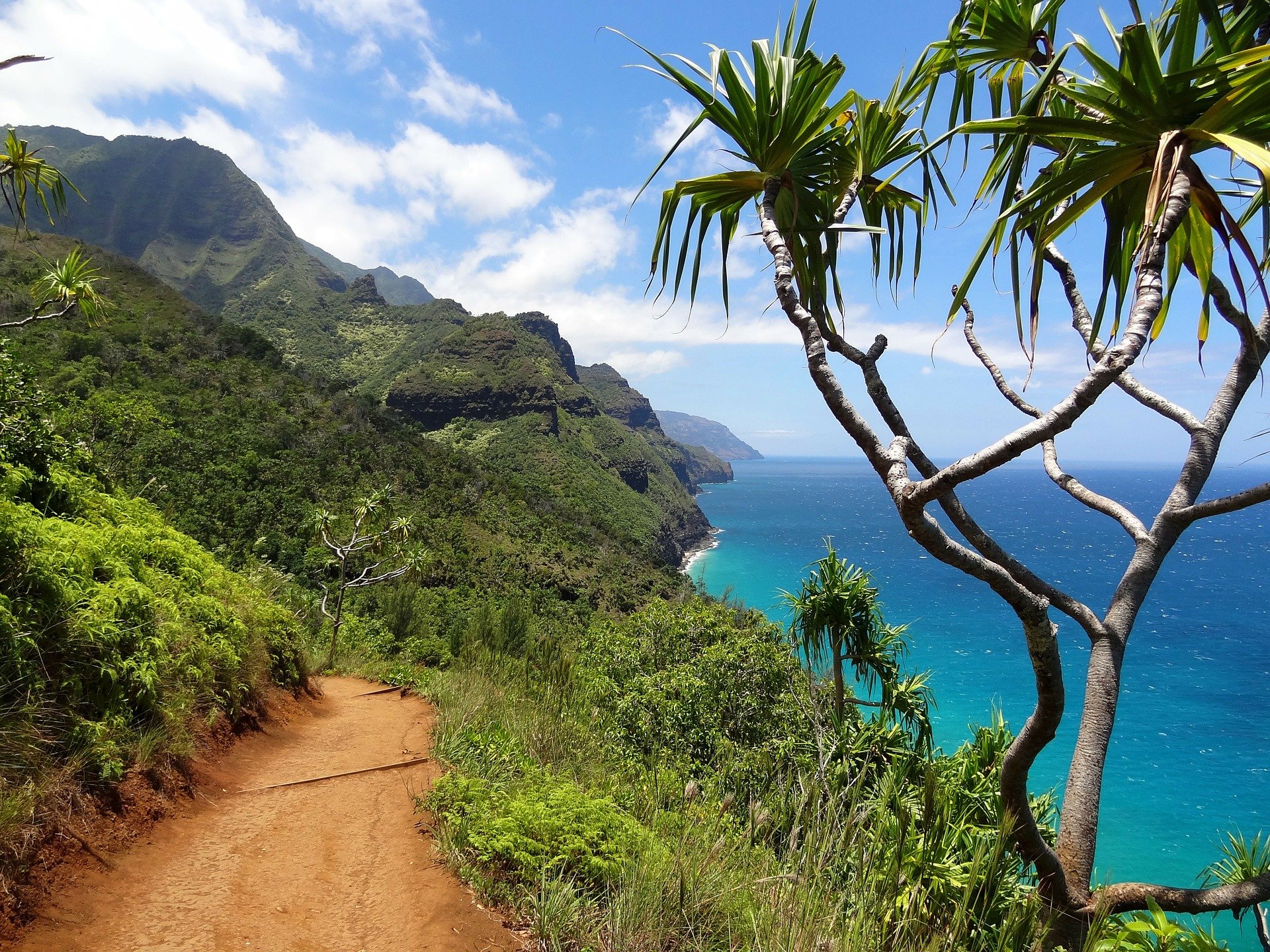 2024/05/best-hiking-trails-in-kauai