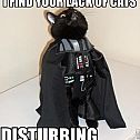 2009/05/1211676228090