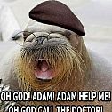 2009/05/1212448480748