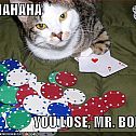 2009/05/1213405819157