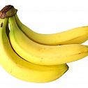2009/05/bananen-1600