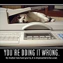 2009/05/catfax