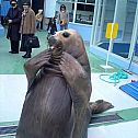 2009/05/crazy-mixed-picdump-17-2