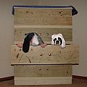 2009/05/crazy-mixed-picdump-17-43