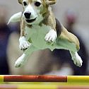 2009/05/funpics32-13