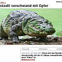 2009/05/kroko
