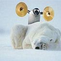 2009/05/picdump1-1