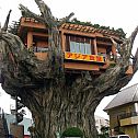2009/05/treehouse
