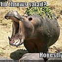 2009/05/wordpress-funny-pictures-hippo-salad-thrown