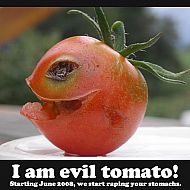 2009/05/1213915981614