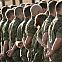 2009/05/2006-10-26-xxl-20061026101200-deu-bundestag-bundeswehr-afghanistan-fra108