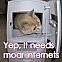 2009/05/4chan-1211994200920