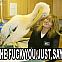 2009/05/4chan-1212315861238