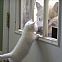 2009/05/funpics34-12-thumbnail