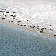 2009/06/spiegel-0-1020-1383932-00