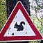 2009/07/spiegel-0-1020-1590403-00
