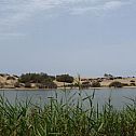 2009/08/strcdn-canaria-02-fitin-735-490