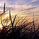 2009/08/strcdn-schoenwetter-13082009-01-fitin-735-490