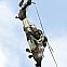 2009/08/spiegel-0-1020-1615507-00