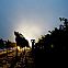 2009/08/strcdn-kalifornien-20-fitin-735-490