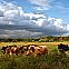 2009/08/strcdn-wetter-schoen-view-27072009-04-fitin-735-490