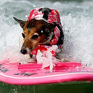 2009/09/strcdn-2009-kw-38-06-maxsize-735-490