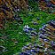 2009/09/spiegel-0-1020-1117359-00