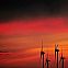 2009/09/spiegel-image-11148-gallery-xxbv