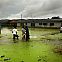 2009/09/spiegel-image-11327-gallery-kdjk