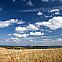 2009/09/strcdn-schoenwetter-08092009-01-maxsize-735-490