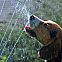 2009/09/strcdn-sommmer-2009-09-fitin-735-490