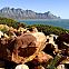 2009/10/strcdn-06-garden-route-maxsize-735-490
