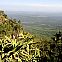 2009/10/strcdn-13-drakensberge-maxsize-735-490