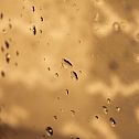2009/11/img-0042